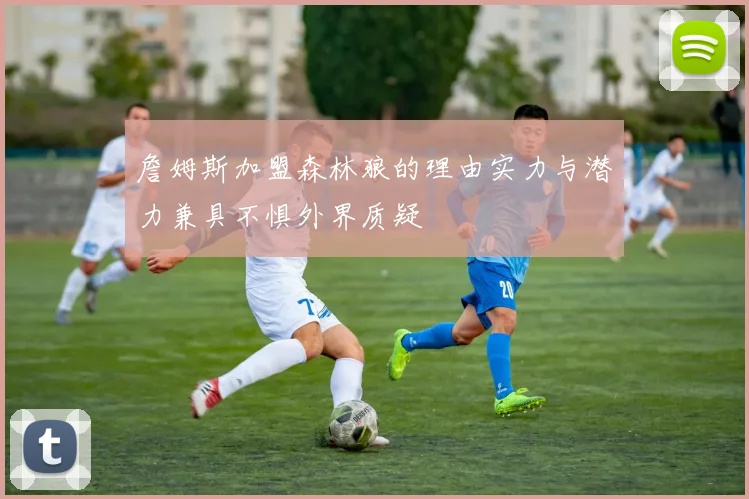 詹姆斯加盟森林狼的理由实力与潜力兼具不惧外界质疑